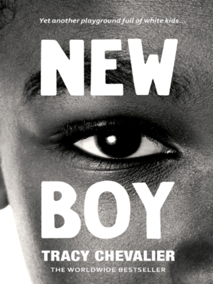 cover image of New Boy